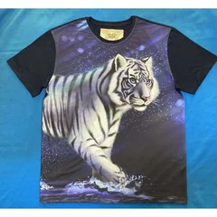 тигр,2022, tiger